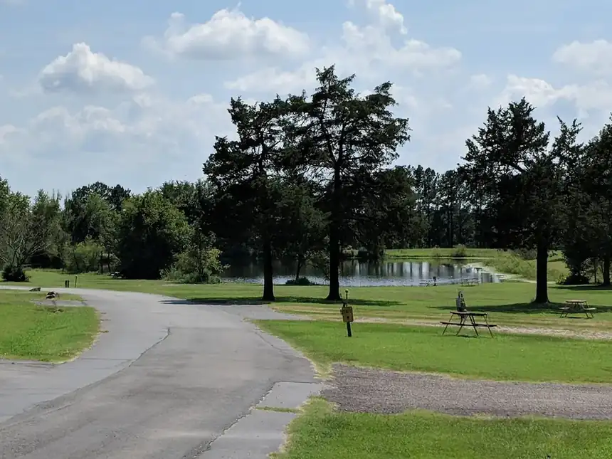 The park road under big oaks with open grass and the pond beyond