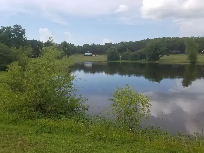 The fishing pond, calm water against the treeline