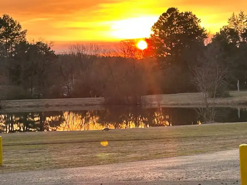 Sunset over the pond with the treeline dark against the sky